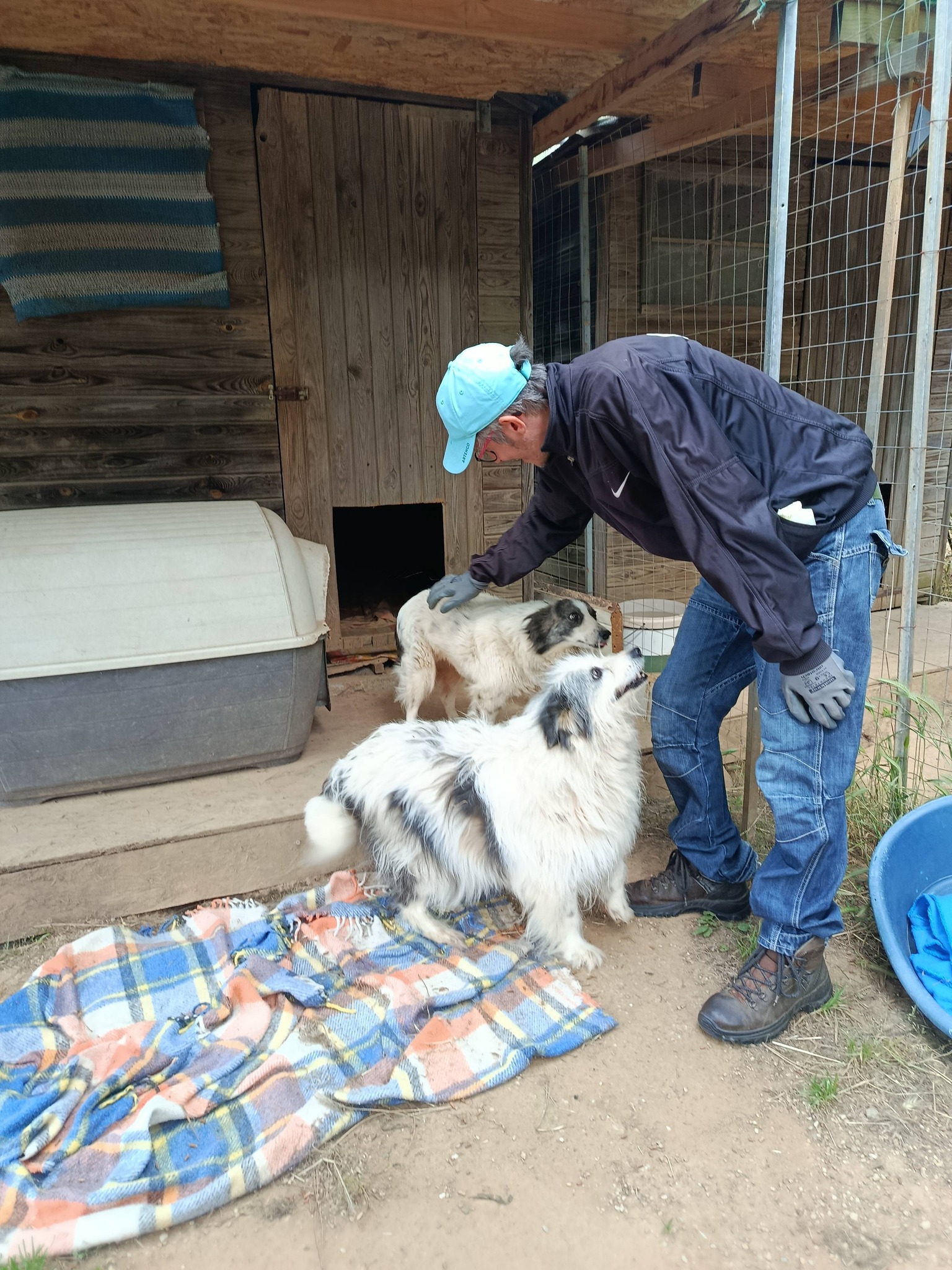 Volontario al Rifugio Gli Amici di Susy